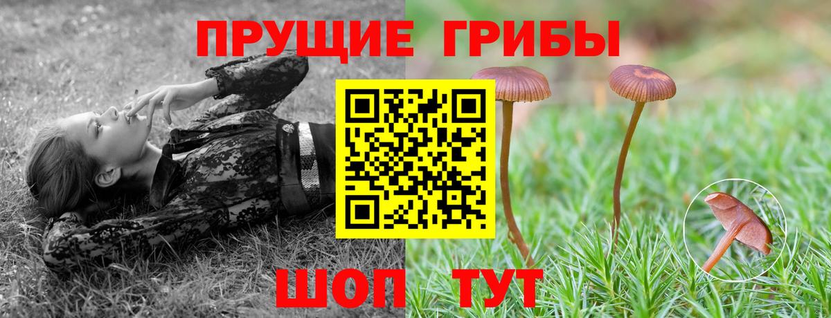 Псилоцибиновые грибы Magic Shrooms Учалы